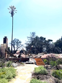 altadena-damage